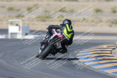 media/Feb-03-2024-SoCal Trackdays (Sat) [[767c60a41c]]/2-Turn 11 (10am)/